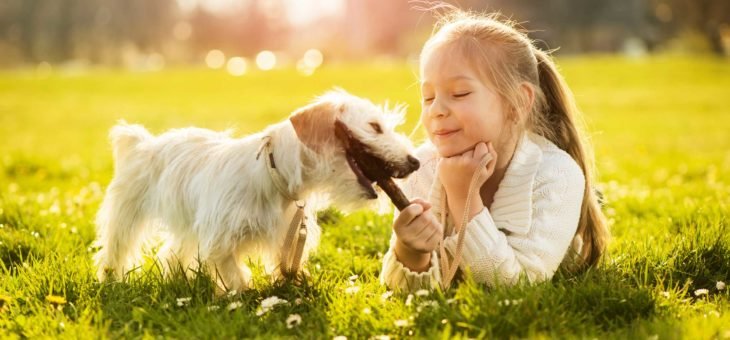 Mordidas de cães podem causar lesões graves nas pálpebras